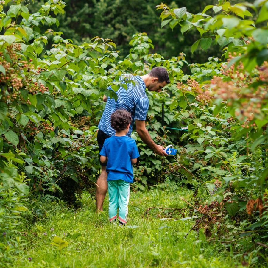 Gite O'Bordeleau (Adults Only) Luskville Zewnętrze zdjęcie